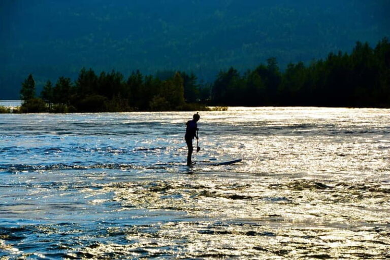 Færvik: Raet National Park SUP (Stand up Paddleboard) Tour - Who Will Love This Tour?