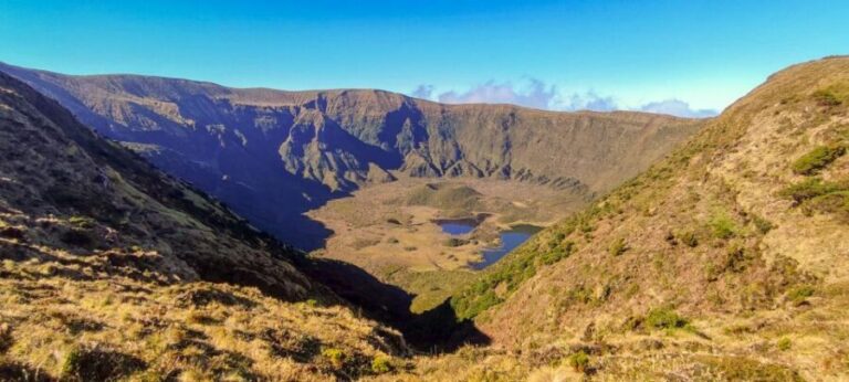 Faial Island: Half-Day Tour  Nature Highlights - Frequently Asked Questions