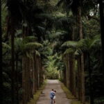 Faial Island: Private professional photoshoot experience - What Makes This Experience Stand Out?