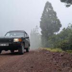 Faial: Private 4WD Half Day Island Tour with Local Guide - Who Will Love This Tour?