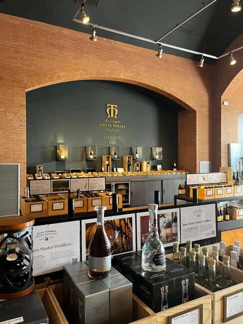 Familia Torres Winery: Gastronomic Tapas & Wine Experience - What Makes This Tour Stand Out?