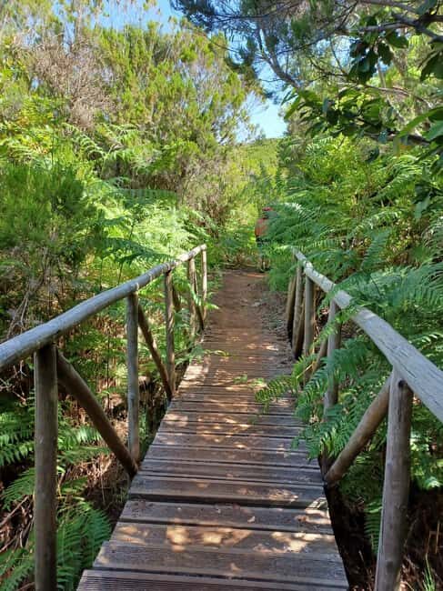 Fanal Forest Walk & Meal - Why this Tour Stands Out