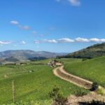 Fancy Douro from Porto - private walk + lunch + wines - Why This Tour Stands Out