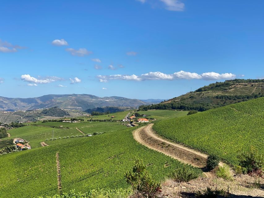 Fancy Douro from Porto - private walk + lunch + wines - Why This Tour Stands Out