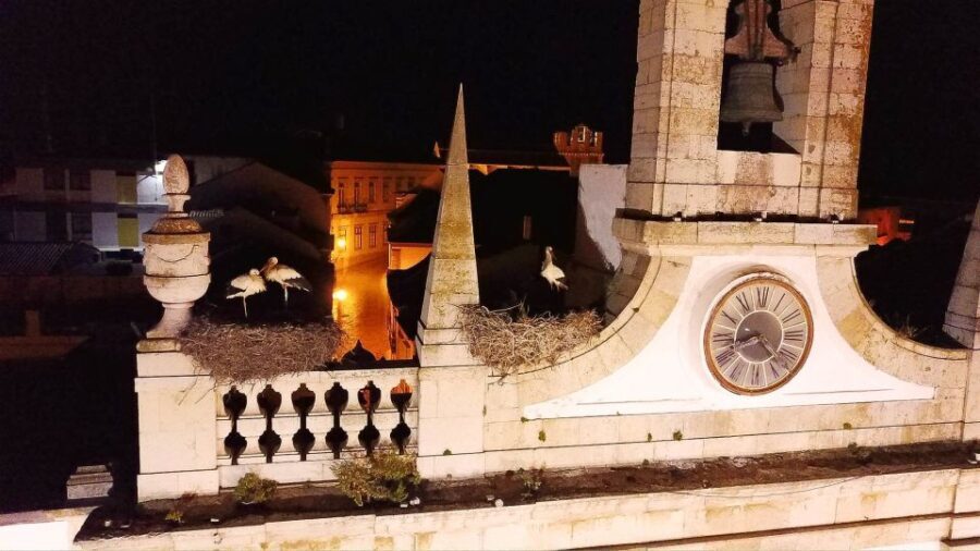 Faro: Night Segway Tour with Cocktails - The Value of the Experience