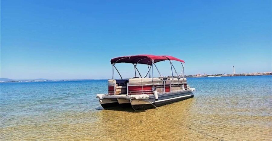 Faro: Private Ria Formosa Faro Islands Boat Tour - Practical Tips for Your Trip