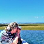 Faro: Ria Formosa Boat Tour - Who is this tour perfect for?