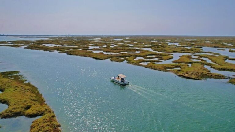 Faro: Ria Formosa Boat Tour by Eco-Friendly Solar Boat - What to Expect on the Tour