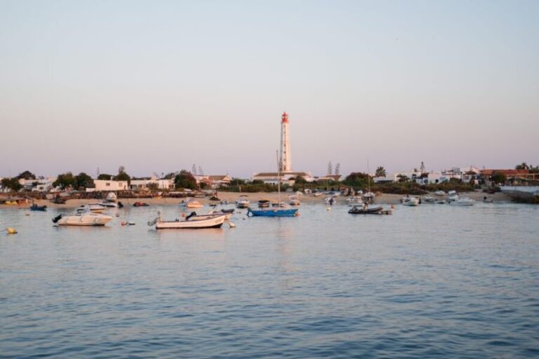 Faro: Ria Formosa Sunset Boat Tour - Who Will Love This Tour?