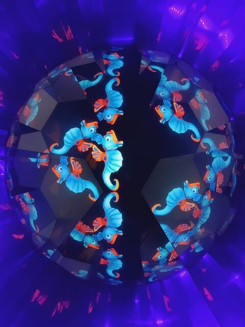 Faro Story Spot - Multimedia Museum&Restaurant: Tour&Tasting - An In-Depth Look at the Faro Story Spot Experience