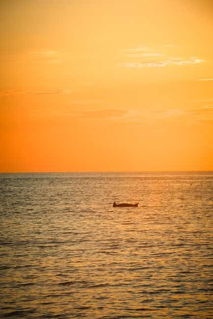 Fazana: Dolphin/Sunset Tour - Why This Tour Offers Good Value