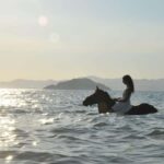 Fethiye Horse Riding in the Sea, Botanical Forest, Beach and Coastal Horseback Riding - The Ride and Its Pace