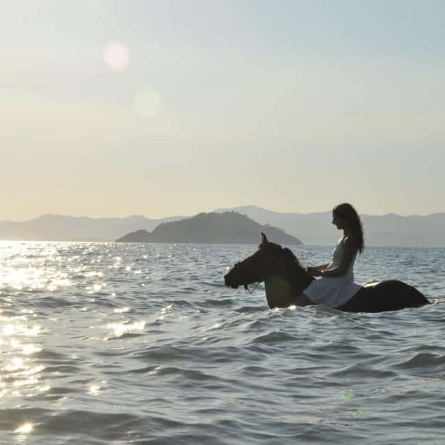 Fethiye Horse Riding in the Sea, Botanical Forest, Beach and Coastal Horseback Riding - The Ride and Its Pace