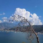 Fethiye Peninsula: Guided Hike&Swim around Hidden Bays - Analyzing the Value