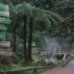 Fire Lake & Tea Factory & Pinneaple - The Experience: What You’ll Love and What to Keep in Mind