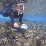 Flamingo Beach: Guided SUP and Snorkeling experience - A Closer Look at the Tour Experience