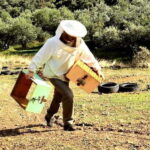 Flavors of Crete from Chania: Wine & Olive Oil Tasting Tour - Final Thoughts: Who Is This Tour Best For?