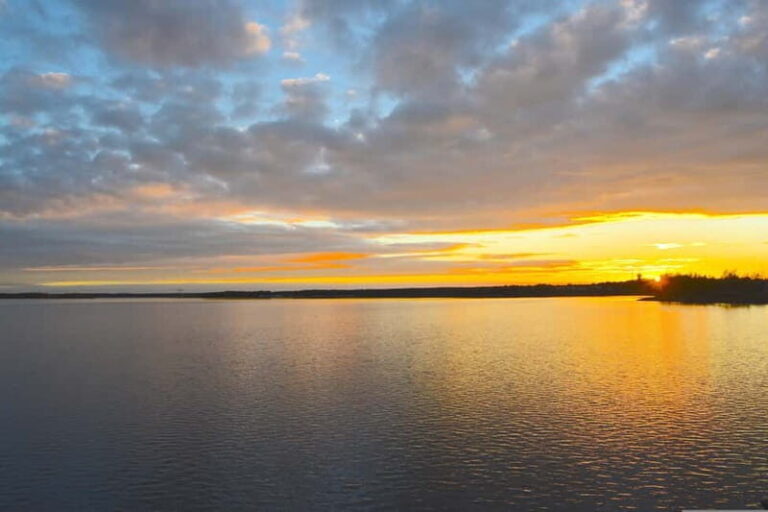 Flavour walk at the Arctic Circle - What to Expect on the Tour