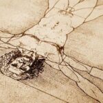 Florence: Leonardo da Vinci Guided Walking Tour - Final Thoughts