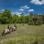 Fontainebleau : Horse-riding, Gastronomy & Château - The Itinerary in Detail