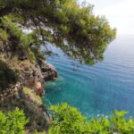 For Cruise ship Travelers Adapted: 5-Hour Scenic Boat Tour - Who Is This Tour Best For?