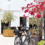 Formentera: discover our fast ferry + bike package - What You Can Expect on the Island