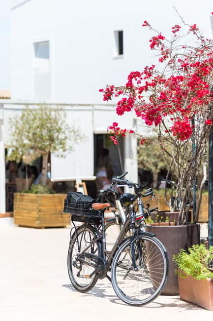Formentera: discover our fast ferry + bike package - What You Can Expect on the Island