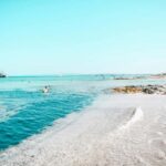 Formentera: Private Horseback Ride with Pick-up by the Beach - Why This Tour Delivers Value