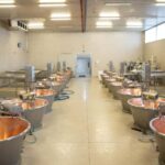 Formigine: Parmigiano tour with full tasting - Practical Details and What to Expect