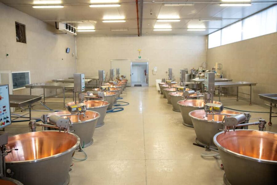 Formigine: Parmigiano tour with full tasting - Practical Details and What to Expect