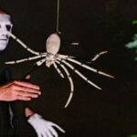 Franfurt Horror Tour: Terror of the White Spider - Who Is This Tour Perfect For?