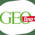 Frankfurt: Geolino City Rallye for Kids Mainufer - Who Should Consider This Tour?