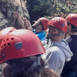 Freiburg: Climbing Course in the Black Forest - Who Will Love This Experience?