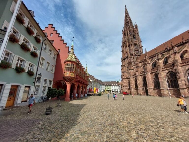 Freiburg: Walking and Strolling the Historic Center - Practical Insights: What’s Included and What Not