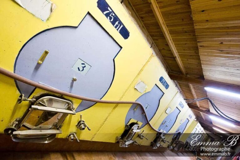 Fréjus: Cave tour and wine tasting - The Sum Up: Who Should Consider This Tour?