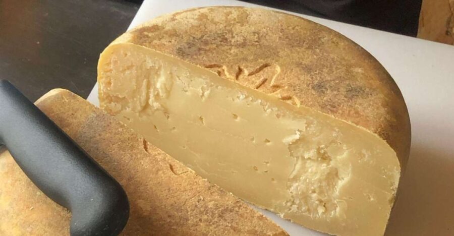 French Basque Country Farms & Food Tour - Final Thoughts