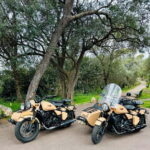 French Riviera City Tour by Sidecar - A Closer Look at the French Riviera Sidecar Experience