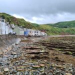 From Aberdeen: Coastal Villages of Aberdeenshire Tour - Authentic Experiences and Highlights