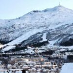 From Abisko: Narvik City and Fjord Day Trip - The Sum Up