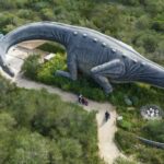 From Alcúdia: Dinosaurland and Hams' Caves Half-Day Trip - The Bottom Line