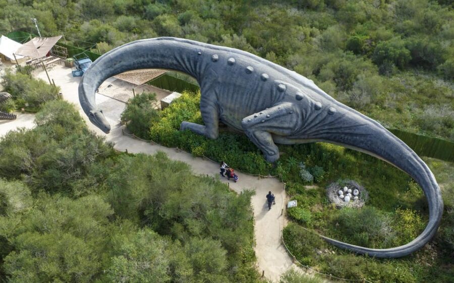 From Alcúdia: Dinosaurland and Hams' Caves Half-Day Trip - The Bottom Line