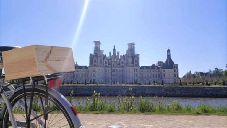 From Amboise: Full-Day Guided E-bike Tour to Chambord - Final Thoughts: Is This Tour Right for You?