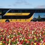 From Amsterdam: Day Trip Madurodam and Keukenhof Gardens - Detailed Breakdown of the Tour