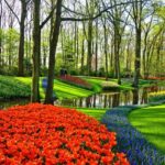 From Amsterdam: Keukenhof Gardens and Giethoorn Tour - Exploring the Itinerary in Detail