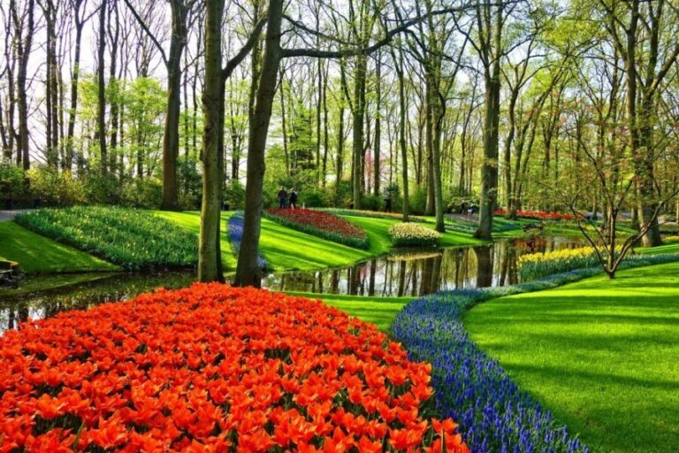 From Amsterdam: Keukenhof Gardens and Giethoorn Tour - Exploring the Itinerary in Detail