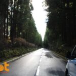 From Angra: Terceira Sunset with Local Products - What Makes This Tour Special?