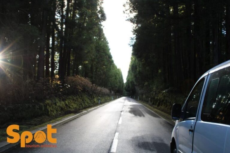 From Angra: Terceira Sunset with Local Products - What Makes This Tour Special?