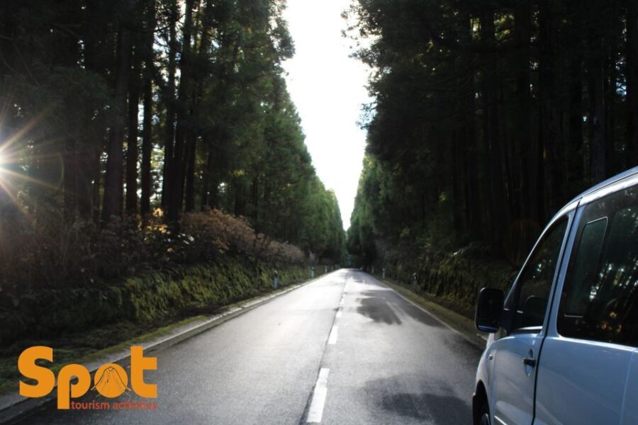 From Angra: Terceira Sunset with Local Products - What Makes This Tour Special?