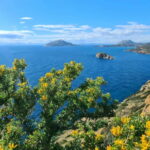 From Athens: Temple of Poseidon & Cape Sounion Half-Day Tour - An Authentic Dive Into Sounion and the Temple of Poseidon