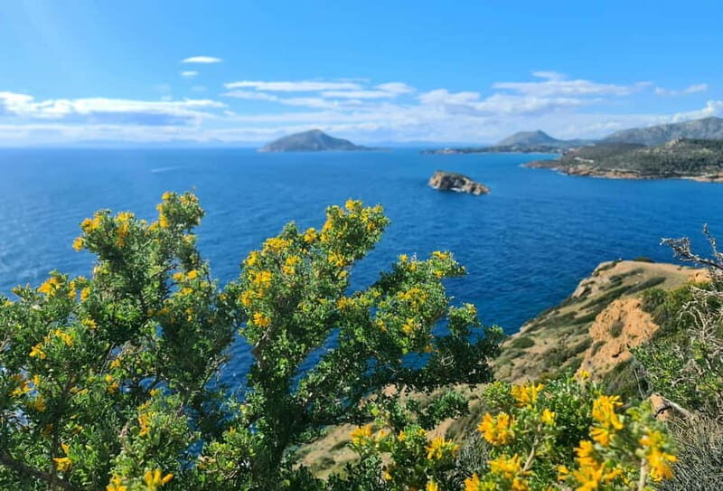 From Athens: Temple of Poseidon & Cape Sounion Half-Day Tour - An Authentic Dive Into Sounion and the Temple of Poseidon